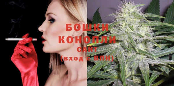 прущие грибы Рославль